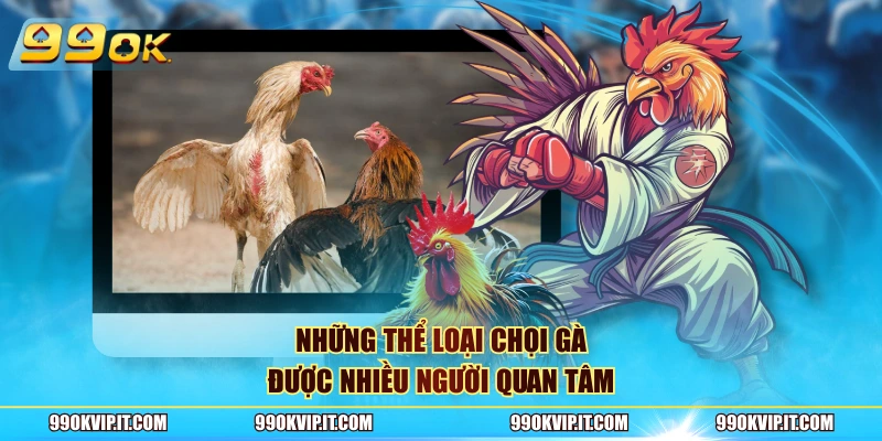 Những thể loại chọi gà được nhiều người quan tâm
